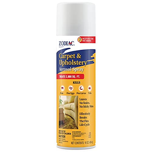 Carpet & Upholstery Aerosol Spray, 16-ounce