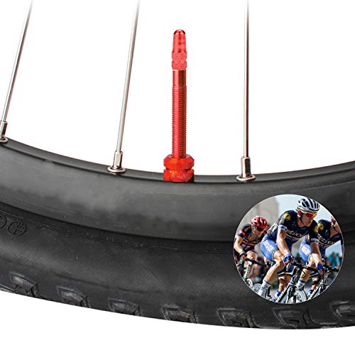 Winorda 40 Pieces 10 Colors Bike Tire Valve Stem Caps Aluminum French Bicycle Air Tire Caps Bike Valve Caps Presta Valve Caps Alloy