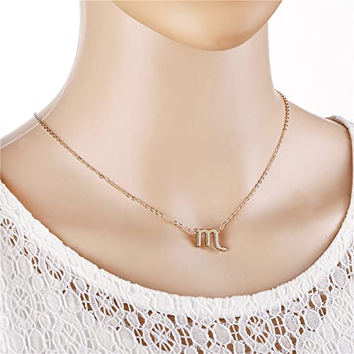 Scorpio Constellation Necklace for Women Adults Scorpio Necklace Gifts Scorpio Zodiac Sign Necklaces for Women Scorpio Astrology Necklace Scorpio Pendant Necklace Gifts