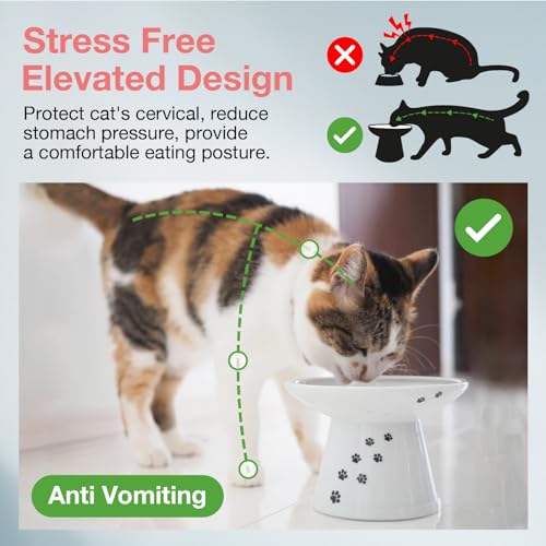 Necoichi Extra Wide Raised Cat Food Bowl, Elevated, Prevent Neck & Whisker Fatigue, Dishwasher and Microwave Safe, No.1 Seller in Japan! (Cat, Extra Wide)