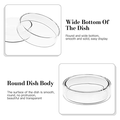 Petri Dishes with Lids Glass Petri Dishes Culture High 