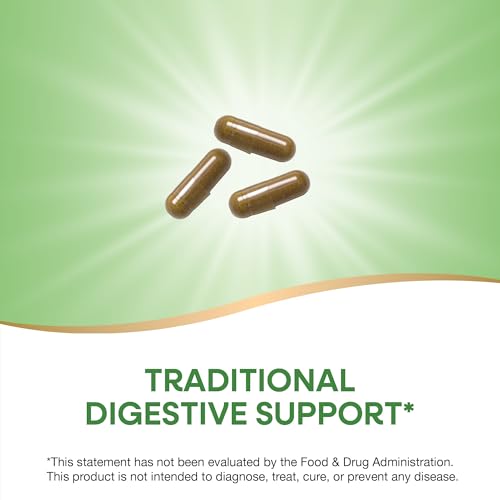 Nature&#39;s Way Goldenseal Root, Traditional Digestive Support, Berberine, Non-GMO Project Verified, Vegan, 50 Capsules (Packaging May Vary)