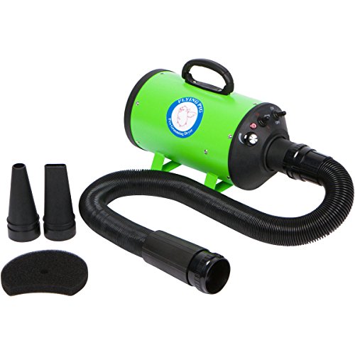Flying Pig High Velocity Dog Pet Grooming Dryer w/Heater (Model: Flying One, Green)