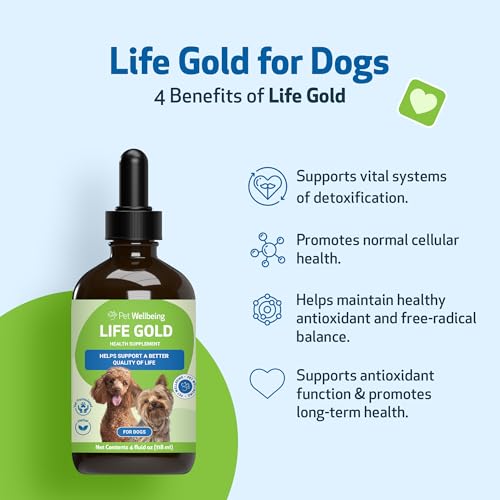Life Gold for Dogs - Immune Support, Antioxidants, Normal Detoxification, Cellular Health, Astragalus - Veterinarian-Formulated Herbal Supplement 4 oz (118 ml)