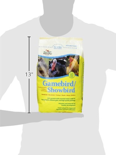 Manna Pro Gamebird Showbird Crumbles, Healthy Poultry Feed, Formulated with Vitamins & Minerals, 5 lbs