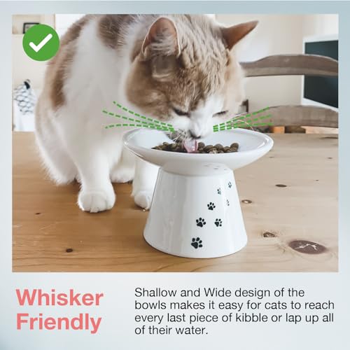 Necoichi Extra Wide Raised Cat Food Bowl, Elevated, Prevent Neck &amp; Whisker Fatigue, Dishwasher and Microwave Safe, No.1 Seller in Japan! (Cat, Extra Wide)
