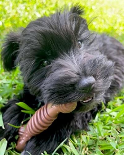 Textured Dental Bone Power Chew Toy for Dogs, Dog Toys for Aggressive Chewers, Flavor Medley Flavor, Medium - Up to 35 lbs, 1 Count