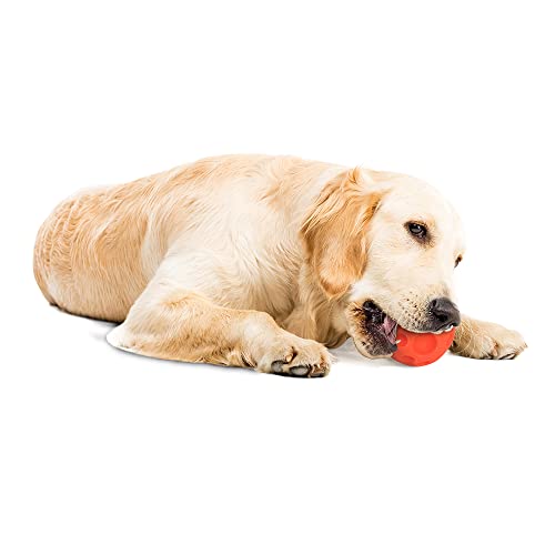 Authentic Tricky Treat Ball - Medium,Orange