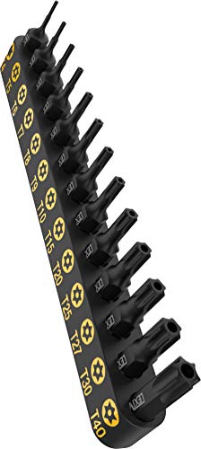Tamper Proof Torx Bit Set, Premium S2 Alloy Steel | 13-Piece Security Star Bits, T4 - T40 | Precision CNC Machined (LX-301)