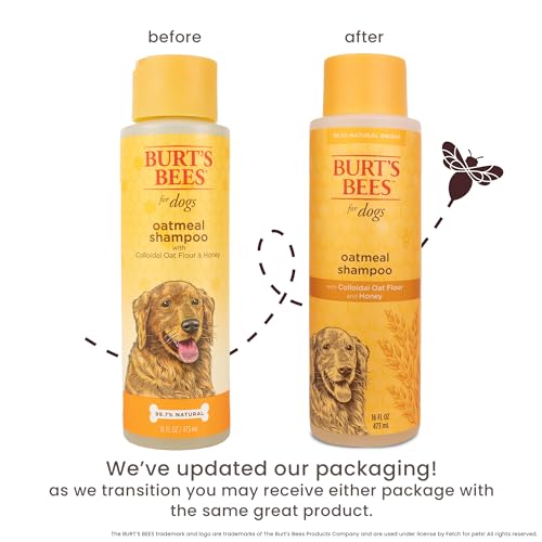Burt&#39;s Bees for Pets Oatmeal Dog Shampoo with Colloidal Oat Flour and Honey, 95% Natural Origin Formulas, Shampoo for Dogs - Gentle Dog Shampoo, Best Dog Shampoo, 16 oz
