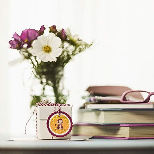 1000 Pcs Teacher Reward Stickers Rolls: Motivational Stickers for Kindergarten Preschool Elementary Teacher, Good Job Stickers for Classroom, Christmas ,1 Diameter (2 Rolls)