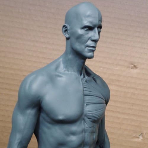 US STOCK New Human Anatomical Anatomy Skull Head Body Model Muscle Bone (30cm) Height by Oubo