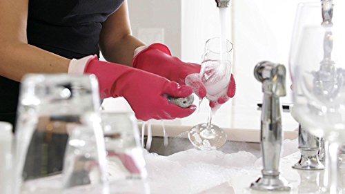 Casabella Premium Waterblock Reusable Household Cleanin