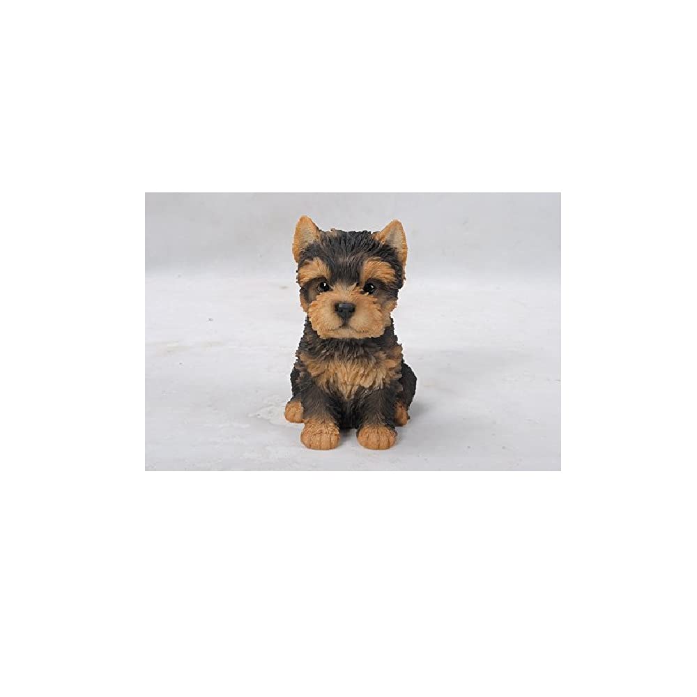 Sitting Yorkshire Terrier Puppy, Brown/Black, 6.5