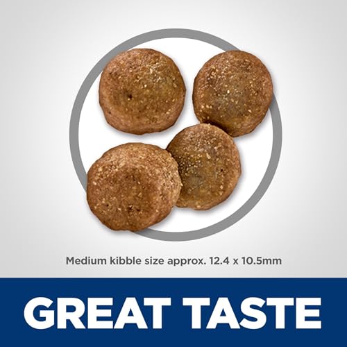 Hill&#39;s Science Diet Sensitive Stomach &amp; Skin, Adult 1-6, Stomach &amp; Skin Sensitivity Support, Dry Dog Food, Chicken Recipe, 4 lb Bag