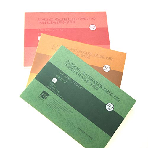 Academy Grade Watercolor Block, 100% Cotton, Acid-Free, 140LB/300GSM, Cold Press Textured, 20 Sheets per Block (Cold Press 15x10.2)