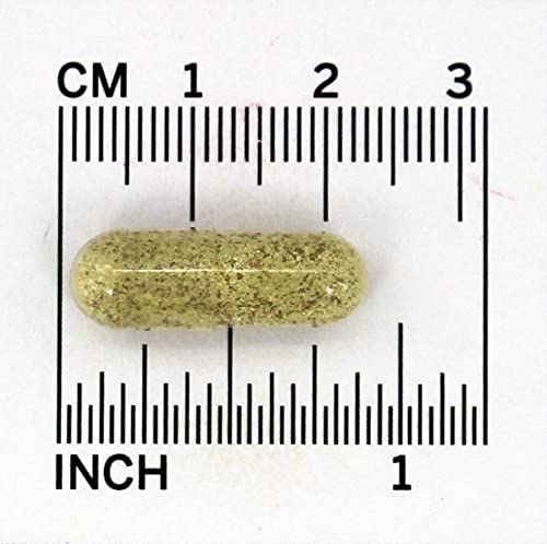 Solaray Pancreatin 1300 | Pancreatic Digestive Enzymes 