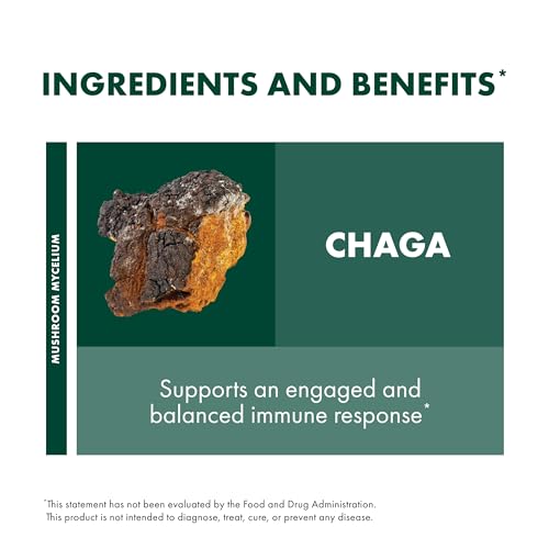 Chaga Capsules - Immune System Support Supplement - Chaga Mushroom Capsules for Antioxidant Activity Support - Dietary Mushroom Supplement - 60 Capsules (30 Servings)*