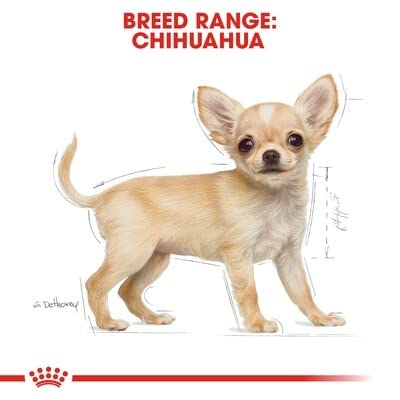 Chihuahua Puppy Dry Dog Food, 2.5 lb bag
