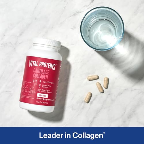 Cartilage Collagen Pills, Type II Collagen & Chondroitin Sulfate Supplement for Recovery & Healthy Hair, Skin, Nails and Joints - 750 mg Serving with 120 Capsules