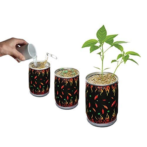 Super Hot Carolina Reaper Plant Kit