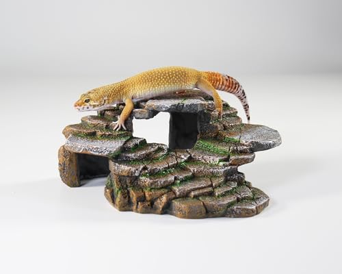 PENN-PLAX Reptology Shale Scape Step Ledge & Cave Hideout – Basking Area - Decorative Resin for Aquariums & Terrariums – Great for Reptiles, Amphibians, and Fish – Medium