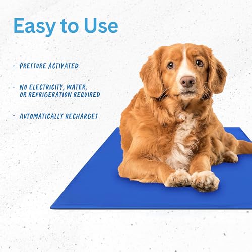 Chillz Dog Cooling Mat, Medium - Pressure Activated Cooling Mat for Dogs and Cats - Stays Cool for 1 Hour - 19.5 x 15.7 Inches