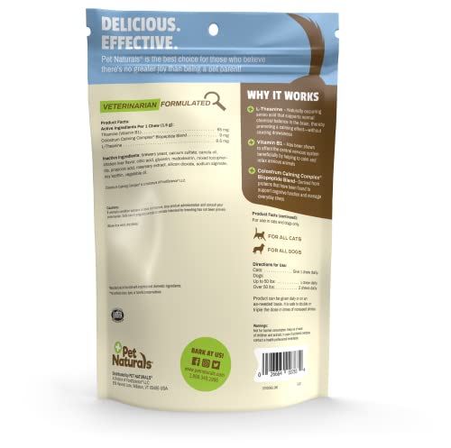 Dog Calming Chews for Dog Anxiety Relief with Naturally Sourced Ingredients for Thunder, Quiet Moments at Home, Anxiety, Barking Calming Dog Treats, Chicken Flavor, 160 Chews