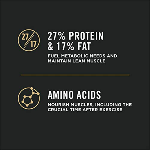 High Protein, Small Bites Dog Food, SPORT 27/17 Lamb &amp; Rice Formula - 37.5 lb. Bag