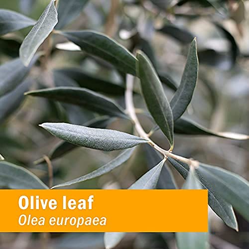 Certified Organic Olive Leaf Liquid Extract for Immune System Support, 4 Fl Oz