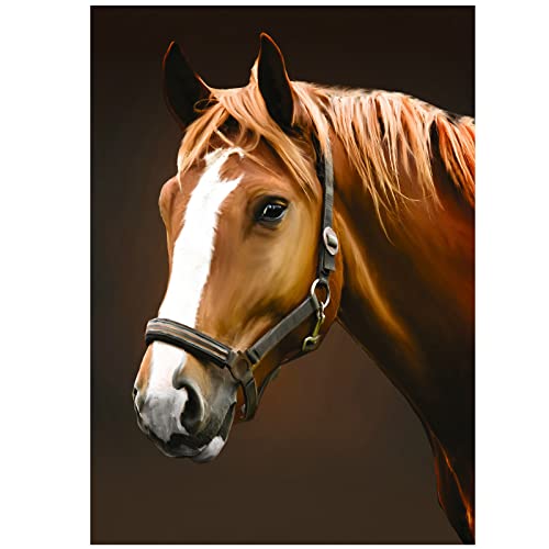 NAIMOER Horse Diamond Art Kits for Adults, Full Drill D