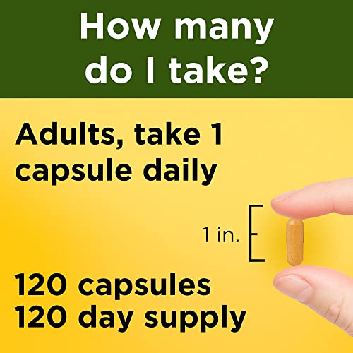 Turmeric Curcumin 500 mg, Herbal Supplement for Antioxidant Support, 120 Capsules, 120 Day Supply