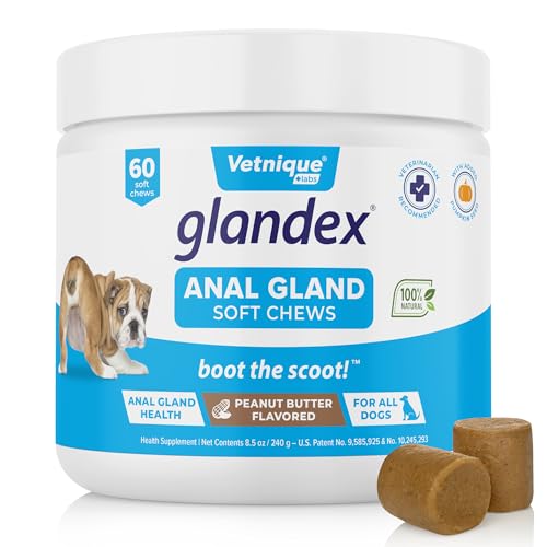 Labs Glandex Anal Gland Soft Chew Treats with Pumpkin for Dogs Digestive Enzymes, Probiotics Fiber Supplement for Dogs Boot The Scoot (Peanut Butter Chews, 60 Count)