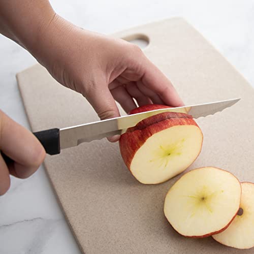 Cutlery Serrated Slicing Knife Stainless Blade and Steel Resin, 11-1/4 Inches, Black Handle