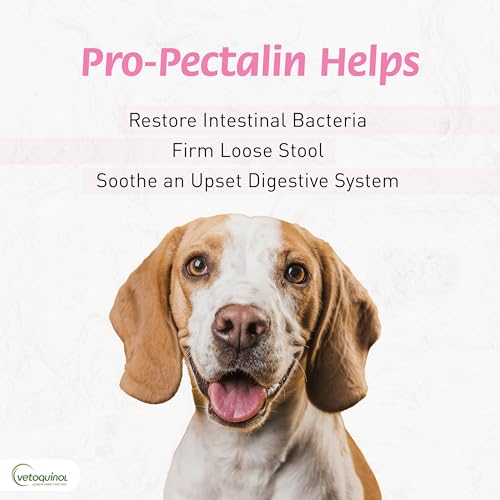 Pro-Pectalin Oral Paste for Dogs & Cats, Helps Relieve Occasional Diarrhea in Cats and Dogs, Situational Diarrhea Relief with Kaolin and Pectin, Contains Beneficial Probiotic Bacteria, 30cc