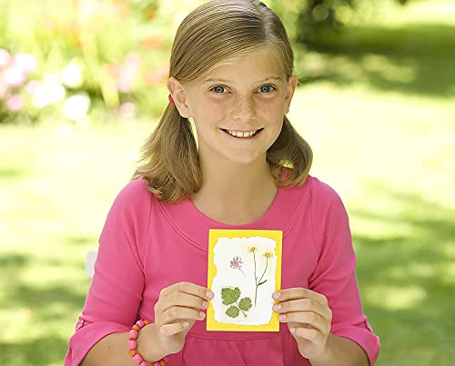 4M Green Creativity Pressed Flower Art Kit, Recycle Flo