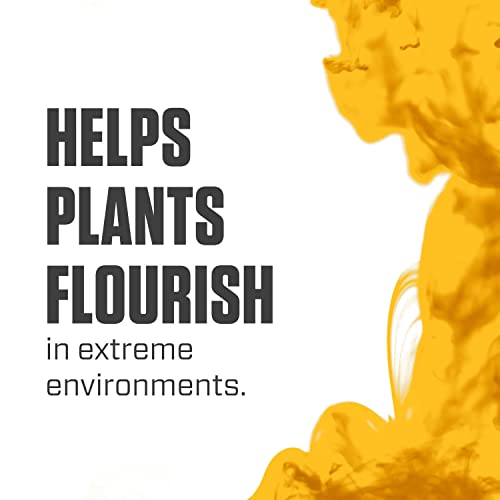 Silica Blast, Plant Supplement, 0-0-0.5, 1 qt.
