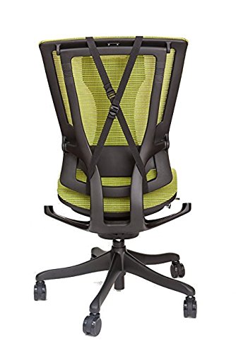 SALE! Cushion for back pain and posture support. Great for working at computer, driving and anyone who sits!