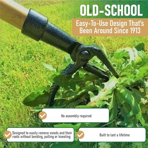 Grampa&#39;s Weeder - The Original Stand Up Weed Puller Tool with Long Handle - Made with Real Bamboo &amp; 4-Claw Steel Head Design - Easily Remove Weeds Without Bending, Pulling, or Kneeling.