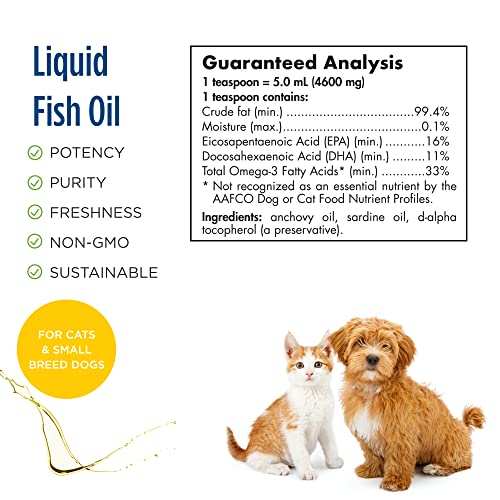 Omega-3 Pet, Unflavored - 2 oz - 304 mg Omega-3 Per One mL - Fish Oil for Small Dogs & Cats with EPA & DHA - Promotes Heart, Skin, Coat, & Immune Health