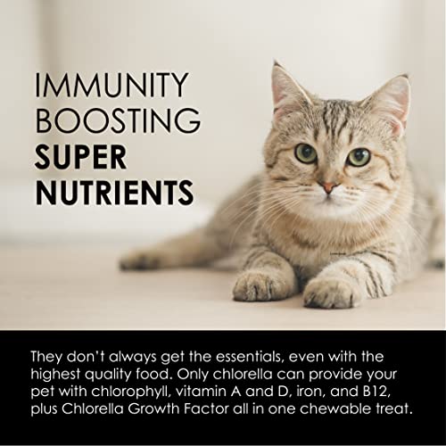 Rejuv-A-Wafers Daily Dog Cat &amp; Animal Superfood Supplement - Green Microalgae &amp; Eleuthero Bits - Vitamins, Minerals, Antioxidants Support Immune Defense, Gut Health - 60 Wafers