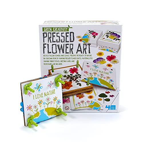 4M Green Creativity Pressed Flower Art Kit, Recycle Flo