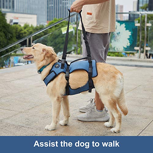 Dog Lift Harness, Full Body Support &amp; Recovery Sling, Pet Rehabilitation Lifts Vest for Old Dog with Arthritis Walk(Bule,L)