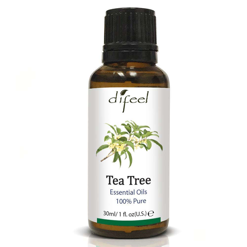 Essential Tea Tree Oil, 1 Fluid Ounce
