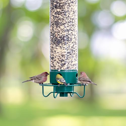 Droll Yankees YF-M Yankee Flipper Squirrel-Proof Wild Bird Feeder With Weight Activated Rotating Perch - 5Lbs Seed Capacity