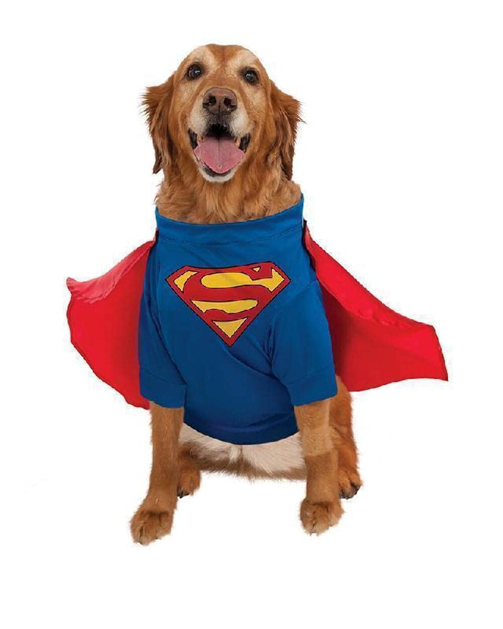 DC Comics Superman with Arms Pet Costume for Themed Parties and Halloween, Small