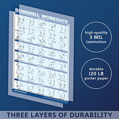 10 Pack - Exercise Workout Poster Set - Dumbbell, Suspension, Kettlebell, Resistance Bands, Stretching, Bodyweight, Barbell, Yoga Poses, Exercise Ball, Muscular System Chart (LAMINATED, 18 x 27)