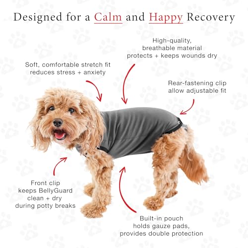 Recovery Suit for Dogs, Comfy Dog Surgery Suit, Female Spay and Male Neuter Onesie for Post-Op Care