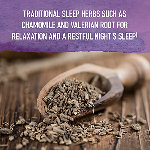 Organics Elderberry Immune Support for Kids with Zinc, Vitamin C - Kids Elderberry &amp; Sleep Immune Syrup Liquid, Bedtime Herbs for Children, No Alcohol, No Added Sugar, 3.92 fl oz