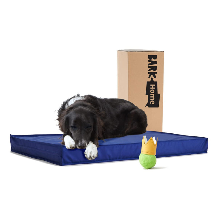 - Outdoor Dog Bed - Waterproof Dog or Cat Mattress Bed with Removable Cover - Platform Bed with Washable Cover, Durable, Portable - Indoor/Outdoor All Season Orthopedic Comfort - XL - Blue